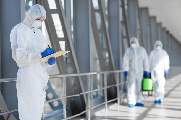 Best Water Damage & Mold Remediation  in Oronoque, CT
