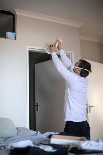 Professional Mold Removal in Oronoque, CT